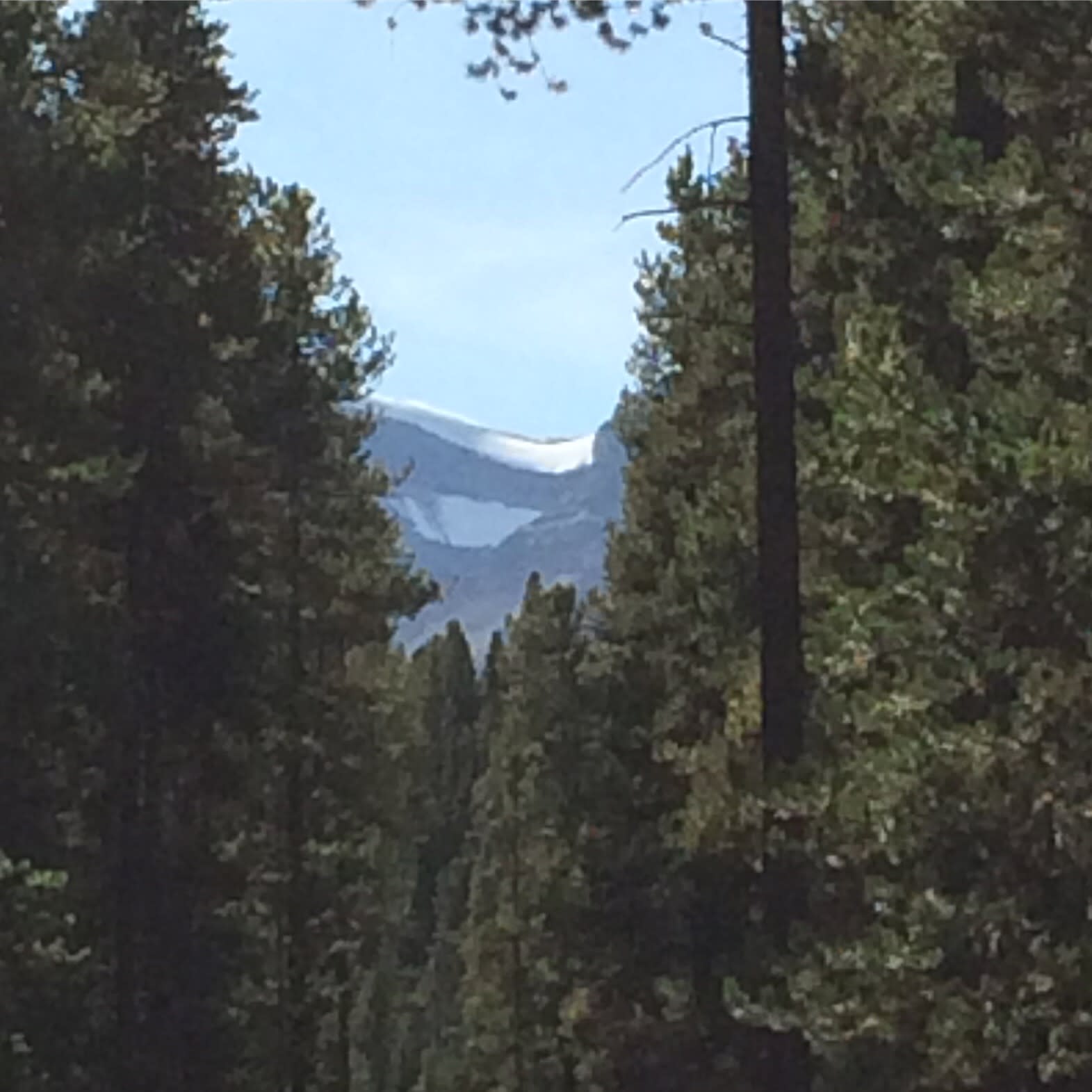 Bow Valley Mountain