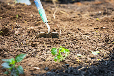 Tilling, making fertile